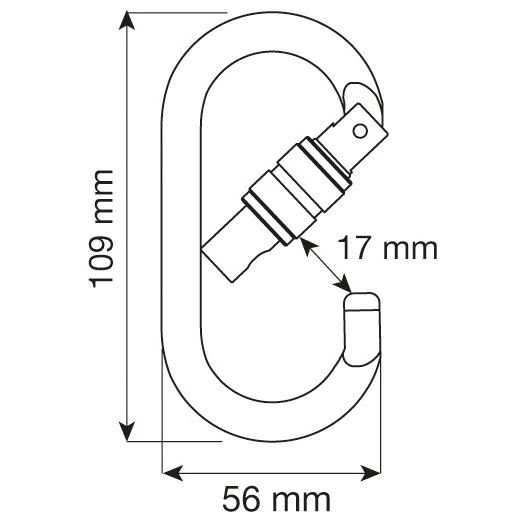 Camp Steel Oval Pro Lock karabina