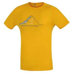 Direct Alpine Furry pánské tričko mango (chemistry) L