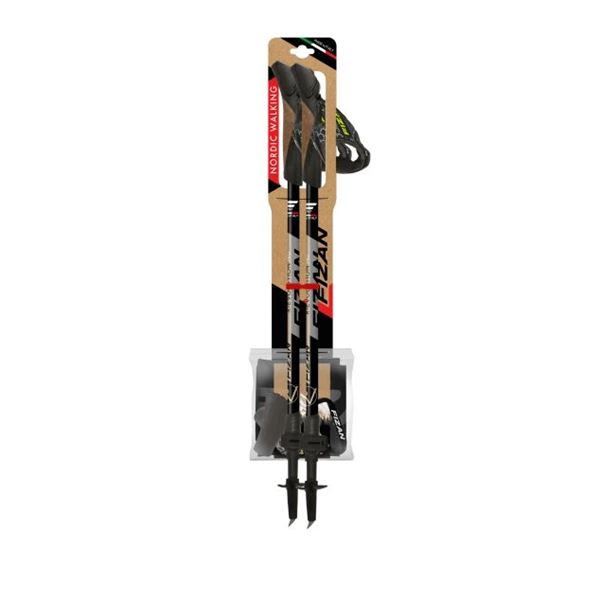 Fizan R-Evolution Pro nordic walking hole